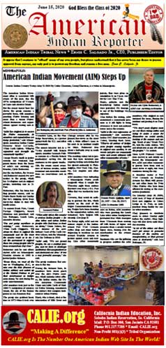 DOWNLOAD AMERICAN INDIAN NEWS PDF