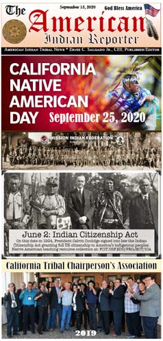 DOWNLOAD AMERICAN INDIAN NEWS PDF